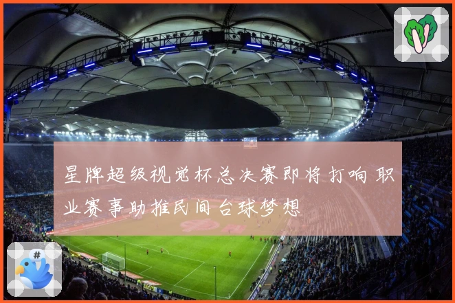 星牌超级视觉杯总决赛即将打响 职业赛事助推民间台球梦想